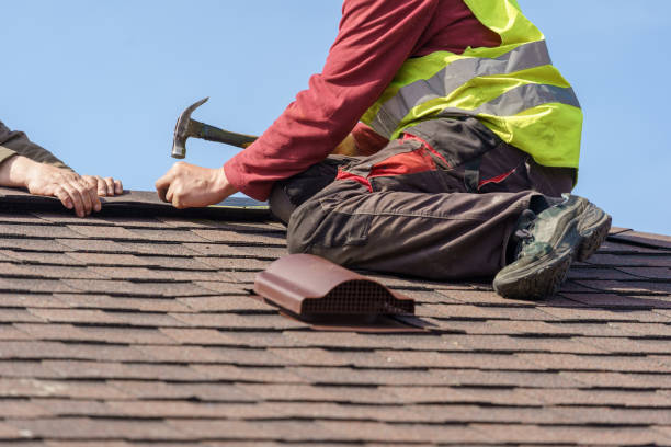 Best Roof Repair Services  in Ripley, MS