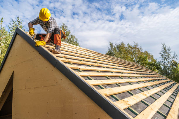 Roof Repair Estimates in Ripley, MS