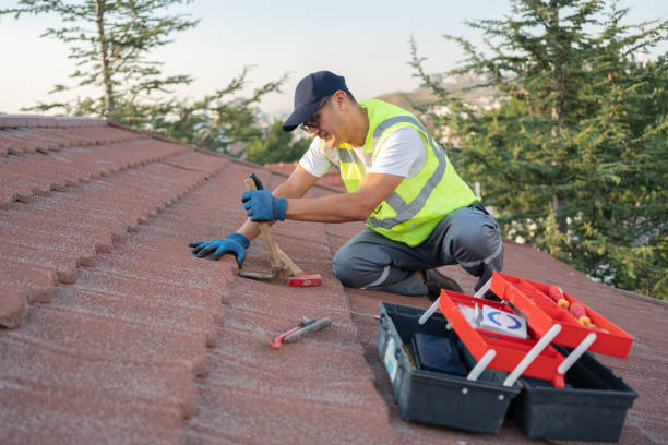 Best Flat Roof Repair Services  in Ripley, MS