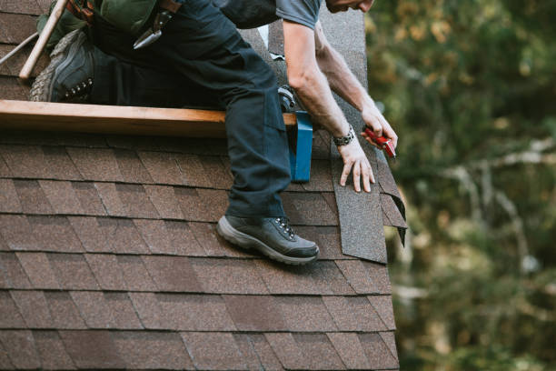 Best Commercial Roofing Services  in Ripley, MS